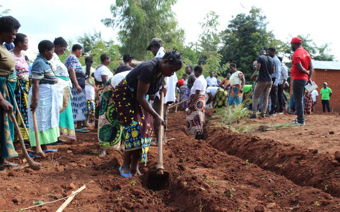 Harvesting water, harvesting hope: Adopting Tiyeni’s Deep Bed Farming for Groundwater Recharge