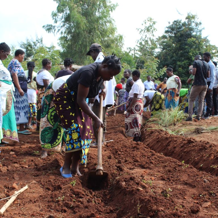 Harvesting water, harvesting hope: Adopting Tiyeni’s Deep Bed Farming for Groundwater Recharge