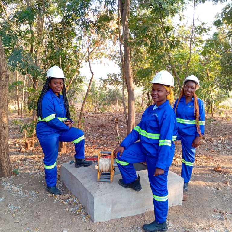 Going Beyond Talk: Creating the Next Generation of Female Hydrogeologists